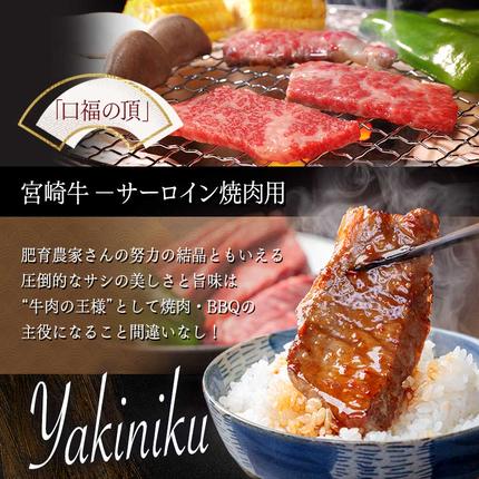 宮崎県都城市のふるさと納税 【A5】宮崎牛サーロイン焼肉用500g_AE-0106