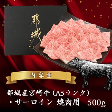 宮崎県都城市のふるさと納税 【A5】宮崎牛サーロイン焼肉用500g_AE-0106