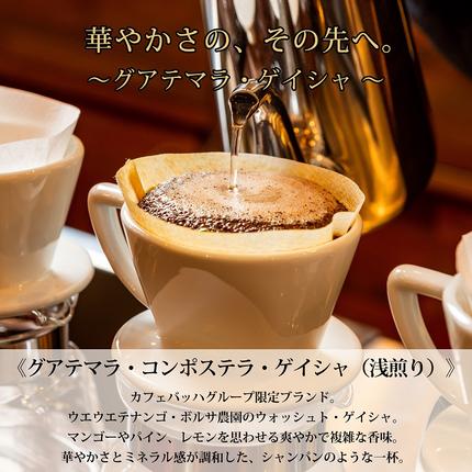 静岡県富士宮市のふるさと納税 0025-59-01 【カフェバッハグループ限定】豆・グアテマラ・ゲイシャ（浅煎り）｜赤富士珈琲｜利き珈琲チャンピオン厳選