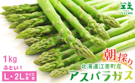 ＼春アスパラ 先行予約 2026年4月～順