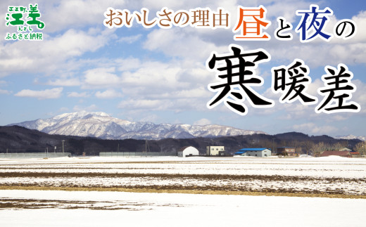 北海道江差町のふるさと納税 【セゾン限定寄附額】＼夏アスパラ申込受付7月20日まで／北海道江差町産 アスパラガス【L～2Lサイズ】 1kg　約20本　太い！ 甘い！ ジューシー！　朝採り　農家直送　新鮮　鮮度保持　北海道　旬野菜　グリーンアスパラ　アスパラ　ギフト　贈答