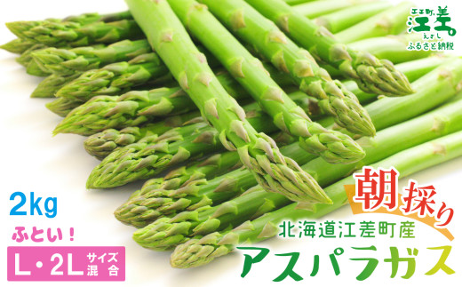 北海道江差町のふるさと納税 ＼夏アスパラ 出荷中／北海道江差町産 アスパラガス【L～2Lサイズ】 2kg　約40本　太い！ 甘い！ ジューシー！　朝採り　農家直送　新鮮　鮮度保持　北海道　旬野菜　グリーンアスパラ　アスパラ　ギフト　贈答