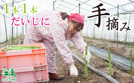 北海道江差町のふるさと納税 ＼夏アスパラ 出荷中／北海道江差町産 アスパラガス【L～2Lサイズ】 2kg　約40本　太い！ 甘い！ ジューシー！　朝採り　農家直送　新鮮　鮮度保持　北海道　旬野菜　グリーンアスパラ　アスパラ　ギフト　贈答
