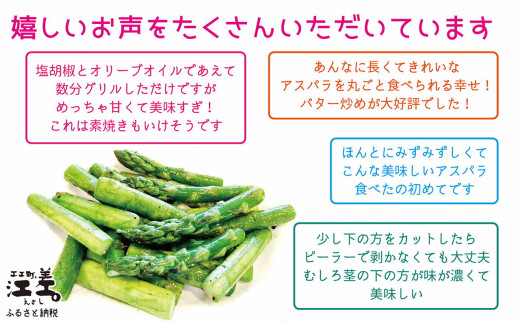 北海道江差町のふるさと納税 ＼夏アスパラ 出荷中／北海道江差町産 アスパラガス【L～2Lサイズ】 2kg　約40本　太い！ 甘い！ ジューシー！　朝採り　農家直送　新鮮　鮮度保持　北海道　旬野菜　グリーンアスパラ　アスパラ　ギフト　贈答