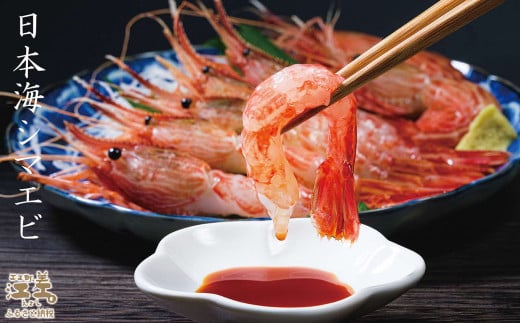 北海道江差町のふるさと納税 【セゾン限定寄附額】【期間限定＼漁があり次第、順次出荷中／】北海道産 違いが分かる天然日本海シマエビ 大サイズ 500g　色鮮やかで香りよし 濃厚な甘み 食べれば分かる格別の味！　国産　江差近海産　天然もの　エビかご漁師直送　最良品厳選　生食可　お刺身　天ぷら　エビフライ　海老