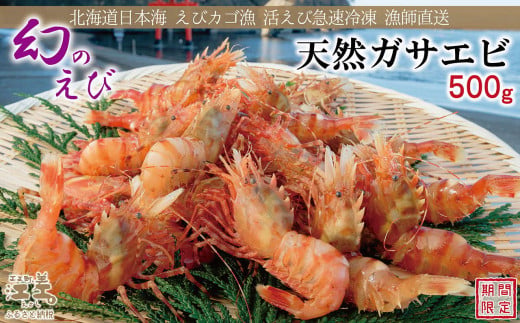 期間限定＼漁があり次第、順次出荷中／】北海道産 「幻のえび」希少な