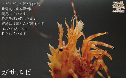期間限定＼漁があり次第、順次出荷中／】北海道産 「幻のえび」希少な