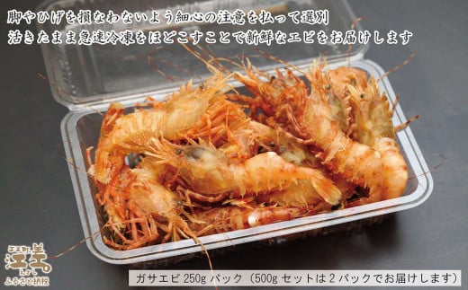 期間限定＼漁があり次第、順次出荷中／】北海道産 「幻のえび」希少な