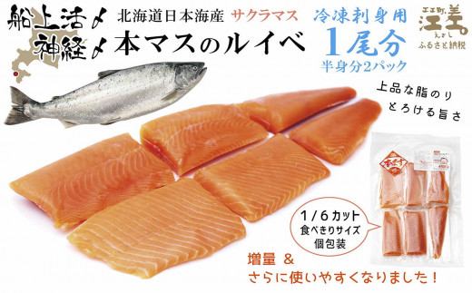 船上活〆北海道日本海産 本マス〈サクラマス〉ルイベ〈冷凍刺身〉6