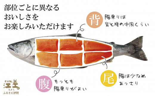 船上活〆北海道日本海産 本マス〈サクラマス〉ルイベ〈冷凍刺身〉6