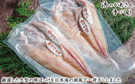 まるまる太った根ボッケひらき 大サイズ（約30cm）2枚 北海道日本海産
