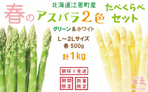 北海道江差町のふるさと納税 【春芽 順次発送中】2025年 北海道江差町産 「春」のアスパラ２色食べくらべセット 計1kg　ホワイトアスパラ 500g ＆ グリーンアスパラ 500g　L～2Lサイズ　朝採り　農家直送　みずみずしい　新鮮　アスパラガス