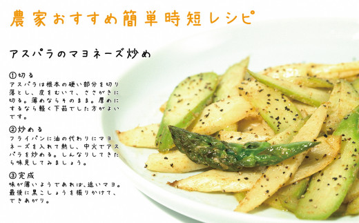 北海道江差町のふるさと納税 【春芽 順次発送中】2025年 北海道江差町産 「春」のアスパラ２色食べくらべセット 計1kg　ホワイトアスパラ 500g ＆ グリーンアスパラ 500g　L～2Lサイズ　朝採り　農家直送　みずみずしい　新鮮　アスパラガス