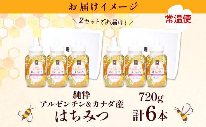 岐阜県安八町のふるさと納税 アルゼンチン&カナダ産はちみつ720g 3本入り 2セット 海外産 はちみつ 詰め合わせ ギフト ハニー honey 蜂蜜 甘味料 ハチミツ パン 菓子 トースト ホットケーキ ヨーグルト 調味料 隠し味 常温 常備 お取り寄せ 日新蜂蜜 送料無料 岐阜県 安八町