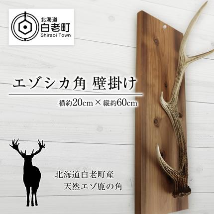 エゾシカ角 壁掛け（横約20cm×縦約60cm） / 北海道白老町 | セゾンの 