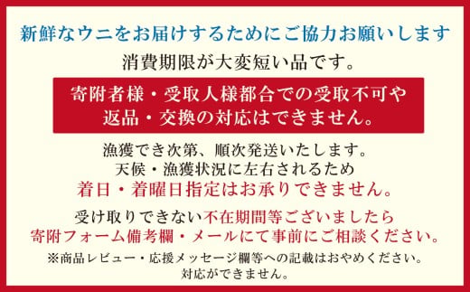 北海道江差町のふるさと納税 ＼2026年先行予約／北海道 江差前浜産 生うに 200g（100g×2パック）【無添加・みょうばん不使用】令和8年　江差産天然キタムラサキウニ　日本海熊石産海洋深層水　塩水ウニ　素材を生かした自然の味　国産うに　雲丹　100グラムパック個包装