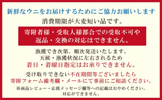 北海道江差町のふるさと納税 ＼水揚げ次第順次出荷／北海道 江差前浜産 生うに 200g（100g×2パック）【無添加・みょうばん不使用】令和8年　江差産天然キタムラサキウニ　日本海熊石産海洋深層水　塩水ウニ　素材を生かした自然の味　国産うに　雲丹　100グラムパック個包装