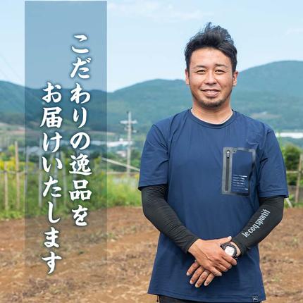 鹿児島県阿久根市のふるさと納税 ＜先行予約受付中！2026年4月下旬以降順次発送予定＞訳あり！鹿児島県阿久根市産そら豆(4kg) 野菜 旬 春野菜 訳アリ 国産 鹿児島県産 阿久根市産 そら豆 ソラマメ おつまみ【黒坂青果】akn049-03
