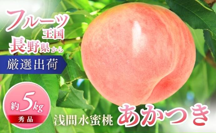 長野県小諸市のふるさと納税 桃 先行予約 浅間水蜜桃 あかつき 約5kg 秀品 13～22玉 フルーツ 果物 白桃 白鳳 甘い 冷蔵