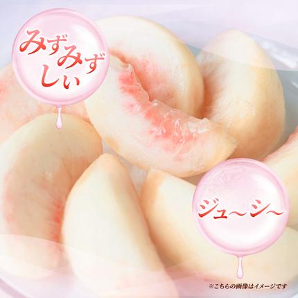 長野県小諸市のふるさと納税 桃 先行予約 浅間水蜜桃 あかつき 約5kg 秀品 フルーツ 果物 白桃 白鳳 甘い 冷蔵