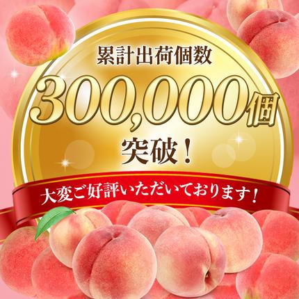 長野県小諸市のふるさと納税 【オンライン決済限定】【2026年8月上旬～発送予定】桃 先行予約 浅間水蜜桃 あかつき 約5kg 秀品 13～22玉 贈答品 フルーツ 果物 白桃 白鳳 甘い 冷蔵