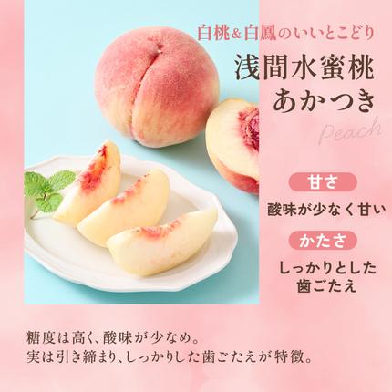 長野県小諸市のふるさと納税 【オンライン決済限定】【2026年8月上旬～発送予定】桃 先行予約 浅間水蜜桃 あかつき 約5kg 秀品 13～22玉 贈答品 フルーツ 果物 白桃 白鳳 甘い 冷蔵