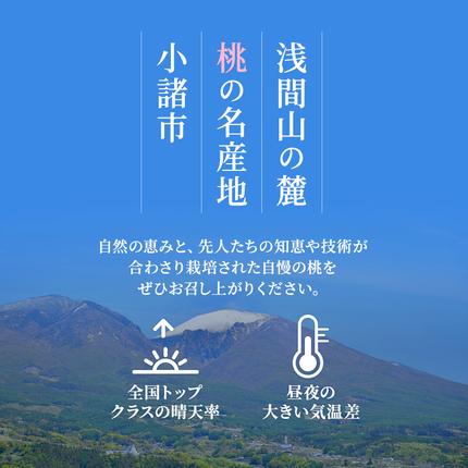 長野県小諸市のふるさと納税 桃 先行予約 浅間水蜜桃 あかつき 約5kg 秀品 フルーツ 果物 白桃 白鳳 甘い 冷蔵