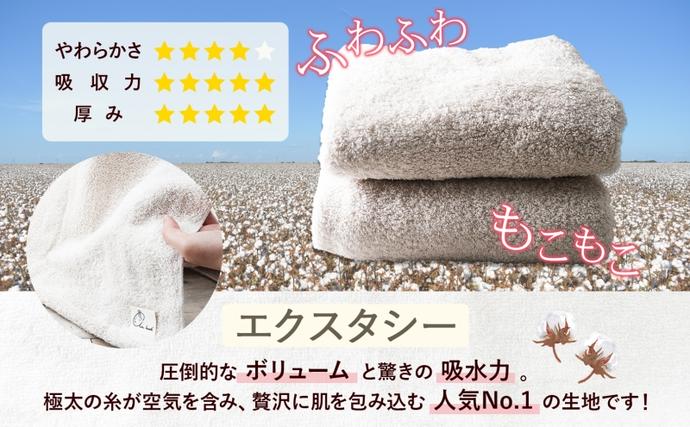 岐阜県安八町のふるさと納税 エアーかおる エクスタシー バスタオル 1枚 プレゼント ギフト 贈り物 エアーかおる 吸水力 ふわふわ もこもこ ボリューム  柔らか 赤ちゃん 吸水性 敏感肌 洗顔 内祝い コットン 御礼 お礼 日用品 軽量 綿100% 浅野撚糸 送料無料 岐阜県 安八町