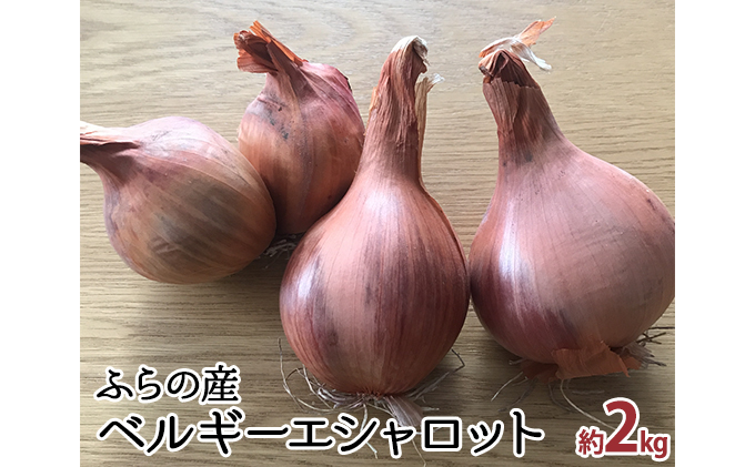 2025年10月中旬～発送】希少！香味 野菜 ベルギーエシャロット ふらの