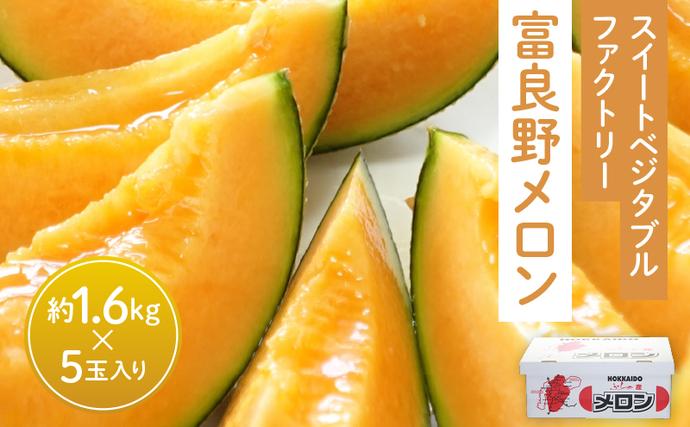 北海道富良野市のふるさと納税 【2026年夏発送】北海道 富良野メロン 5玉 計約8kg メロン フルーツ 果物
