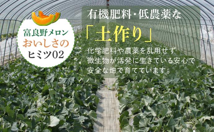 北海道富良野市のふるさと納税 【2026年夏発送】北海道 富良野メロン 5玉 計約8kg メロン フルーツ 果物