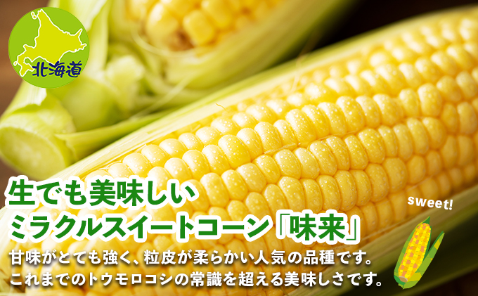 北海道倶知安町のふるさと納税 北海道 倶知安町 とうもろこし 味来 みらい 北海道 5kg 2Lサイズ 大きめ 夏野菜 とうきび 旬 新鮮 野菜 トウモロコシ ギフト 産地直送 産直 お取り寄せ 詰め合わせ 送料無料 13本 高糖度