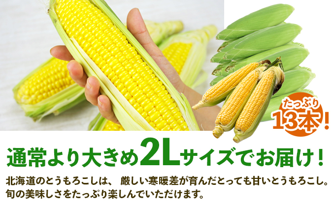 北海道倶知安町のふるさと納税 北海道 倶知安町 とうもろこし 味来 みらい 北海道 5kg 2Lサイズ 大きめ 夏野菜 とうきび 旬 新鮮 野菜 トウモロコシ ギフト 産地直送 産直 お取り寄せ 詰め合わせ 送料無料 13本 高糖度