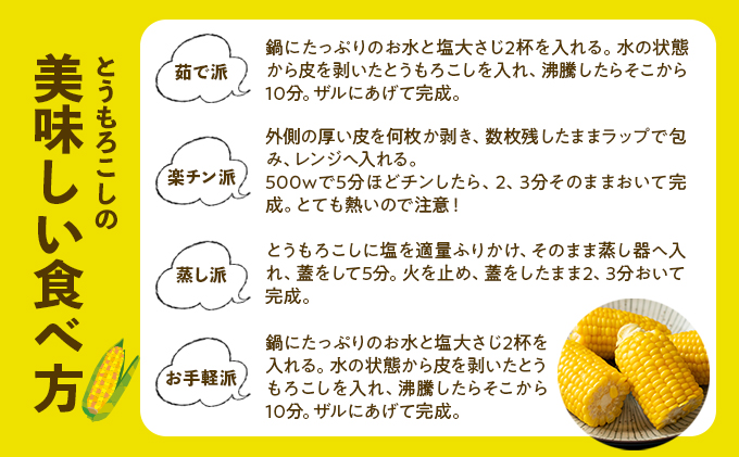 北海道倶知安町のふるさと納税 北海道 倶知安町 とうもろこし 味来 みらい 北海道 5kg 2Lサイズ 大きめ 夏野菜 とうきび 旬 新鮮 野菜 トウモロコシ ギフト 産地直送 産直 お取り寄せ 詰め合わせ 送料無料 13本 高糖度
