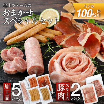 福岡県大木町のふるさと納税 池上ファームのおまかせスペシャルセット　AP06