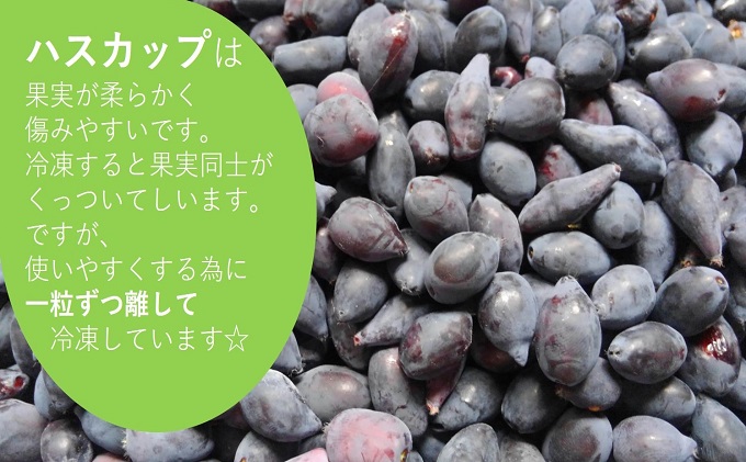 【2024年産】新鮮　ハスカップ　冷凍　5kg　送料込み 2024年産】新鮮 ハスカップ 5kg 冷凍 送料込み 【公式通販】