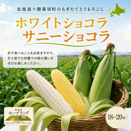 先行予約/2026年］もぎたてとうもろこし黄・白 計18～20本セット