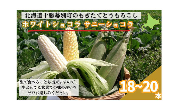 北海道幕別町のふるさと納税 ［先行予約/2026年］もぎたてとうもろこし黄・白 計18～20本セット [北海道ホープランド農場]【 とうきび トウモロコシ とうもろこし 野菜 夏野菜 フルーツ 北海道 十勝 幕別 】