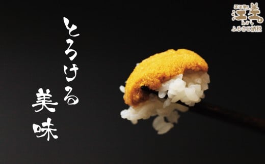 北海道江差町のふるさと納税 ＼2026年先行予約／北海道 江差前浜産 生うに たっぷり 1kg（100g×10パック）【無添加・みょうばん不使用】令和8年　江差産天然キタムラサキウニ　日本海熊石産海洋深層水　塩水ウニ　素材を生かした自然の味　国産うに　雲丹　100グラムパック個包装