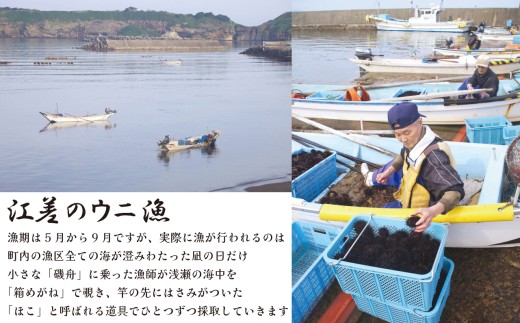 北海道江差町のふるさと納税 ＼水揚げ次第順次出荷／北海道 江差前浜産 生うに たっぷり 1kg（100g×10パック）【無添加・みょうばん不使用】令和8年　江差産天然キタムラサキウニ　日本海熊石産海洋深層水　塩水ウニ　素材を生かした自然の味　国産うに　雲丹　100グラムパック個包装