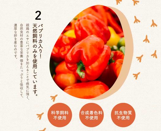 兵庫県市川町のふるさと納税 【累計6万本突破！】卵黄で作ったこだわりのマヨネーズ5本 008AC01N.／ママのこだわり卵 大容量 栄養満点 調味料 お料理 安心 安全 健康 玉子 サラダ ディップ ポテトサラダ