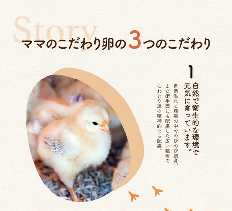 兵庫県市川町のふるさと納税 【累計6万本突破！】卵黄で作ったこだわりのマヨネーズ5本 008AC01N.／ママのこだわり卵 大容量 栄養満点 調味料 お料理 安心 安全 健康 玉子 サラダ ディップ ポテトサラダ