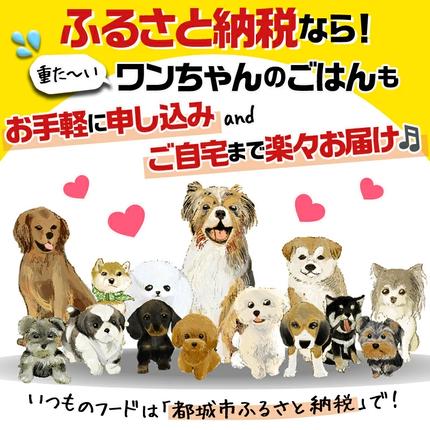 宮崎県都城市のふるさと納税 わんちゃんのごはん☆プロステージフォーミュラ マグロ(成犬用)1.8kg_12-3303
