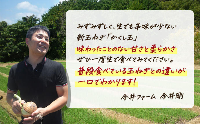 兵庫県淡路市のふるさと納税 【新たまねぎ】今井ファームの淡路島たまねぎ「かくし玉」 2kg【発送時期2026年4月下旬～5月頃】　[玉ねぎ 産地直送 玉ねぎ]