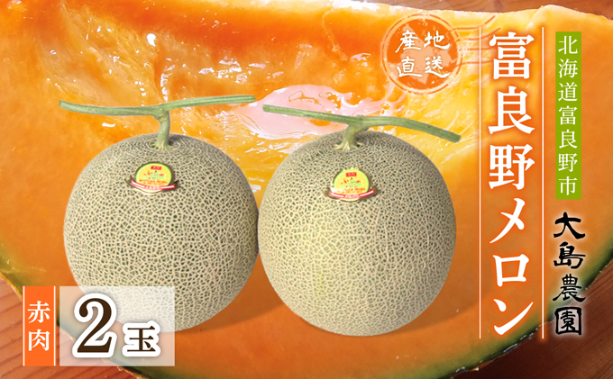 北海道富良野市のふるさと納税 【2026年7月中旬～発送】ふらのメロン 赤肉 2玉 計3.2kg以上 北海道 富良野市 (大島農園)