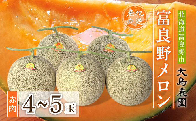 北海道富良野市のふるさと納税 【2026年7月中旬～発送】ふらのメロン 赤肉 4～5玉 計8kg以上 北海道 富良野市 (大島農園)