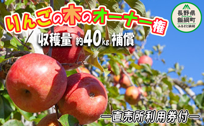 りんごの木オーナー ＜ サンふじの木 ＞ 家庭用 ～ 特秀 約 40kg 補償