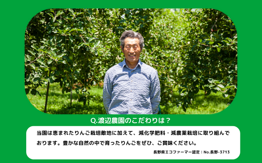 長野県飯綱町のふるさと納税 りんご シナノスイート 秀 ～ 特秀 5kg 渡辺農園 沖縄県への配送不可 2026年10月中旬頃から2026年10月下旬頃まで順次発送予定 令和8年度収穫分 エコファーマー認定 減農薬栽培 長野県 飯綱町 [0171]