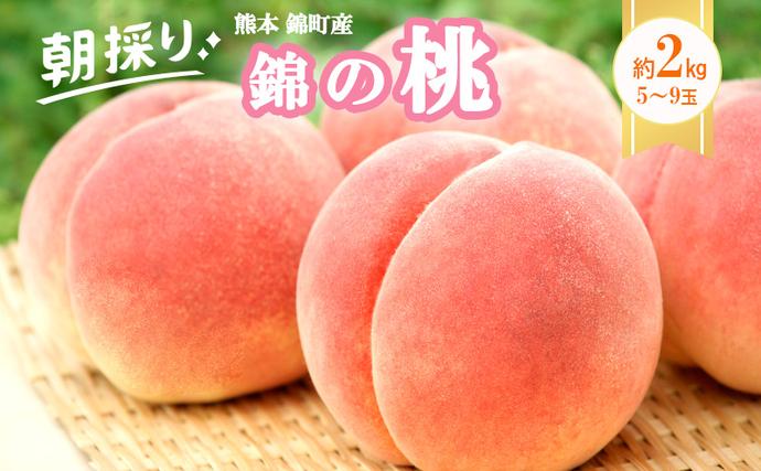 桃 白桃 先行予約 錦の桃 2kg 約5玉