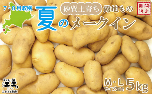 北海道江差町のふるさと納税 【早期予約：2026年7月頃～順次出荷予定】砂質土育ち「夏」メークイン M・L混合5kg　露地もの　手掘り　江差産メークイン　北海道のじゃがいも　芋の塩煮　肉じゃが　カレー　シチュー　コロッケ　色々なお料理に　北海道産